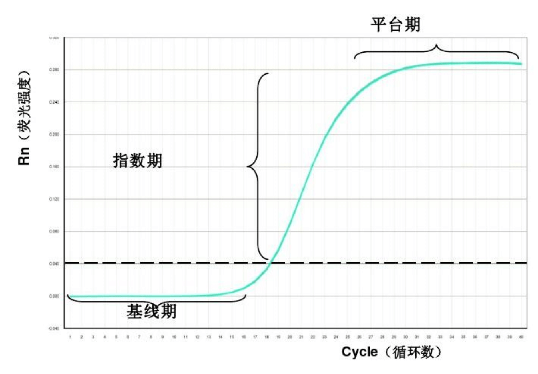 熒光定量PCR擴增曲線